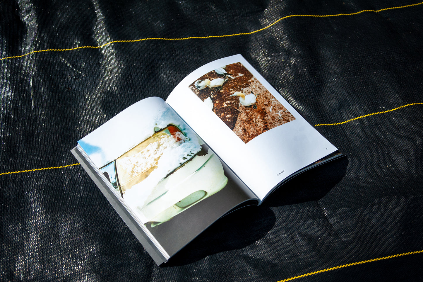 Livre photo MORIBOND